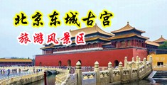 草莓视频美女抠逼中国北京-东城古宫旅游风景区